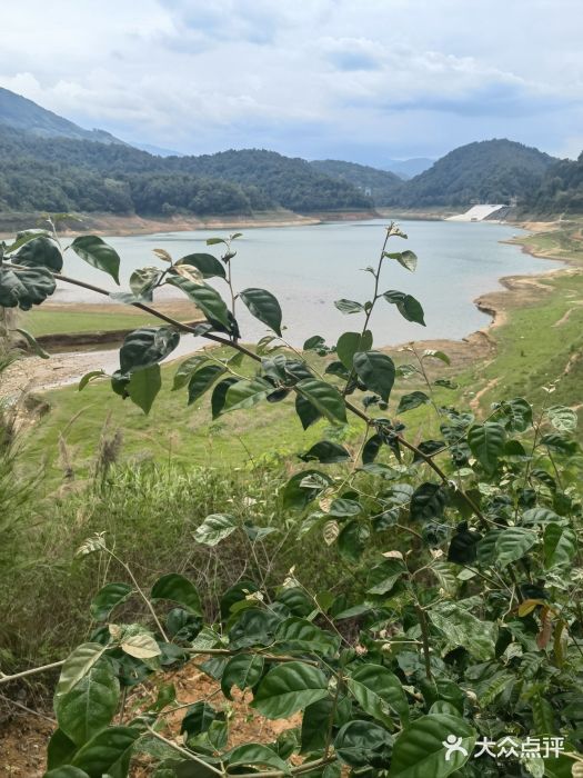 孔雀湖生态旅游区图片