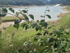 -孔雀湖生态旅游区