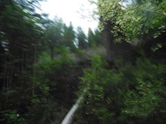 -峡谷浮石林景区