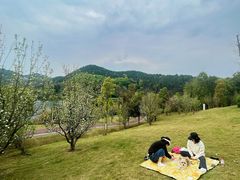 -三岔湖景区