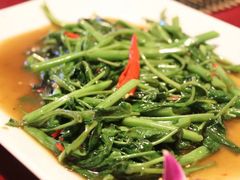 空心菜-Daddy Nimman Chiang Mai