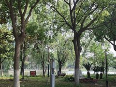 -华东政法大学(松江校区)