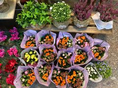 -双季花艺园艺市场(浦东店)