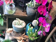 -FEI FEI FLOWER鲜花店·气球派对·宝宝宴布置(虹口德必运动Loft店)