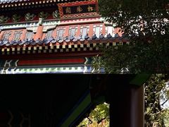 -灵谷景区
