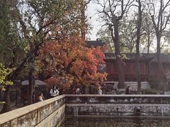 -大觉寺-停车场