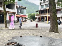 -羊楼洞