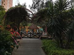 -灵玲国际马戏城