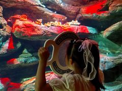 -沈阳海洋探索中心