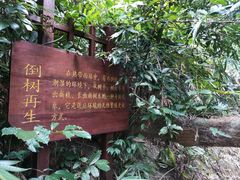 -海南热带雨林国家公园吊罗山景区