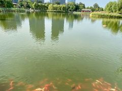 -西海子公园
