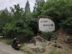 -白水寺森林公园