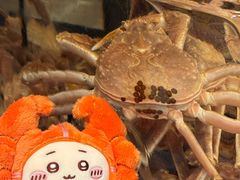 -蟹道乐(道顿堀本店)