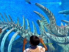 -波塞冬旅游度假区