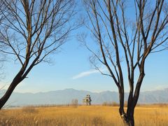 -野鸭湖国家湿地公园
