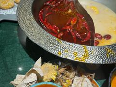 -麻田会 ·鲜活现烹·牛蛙火锅(珠江新城维家思广场店)