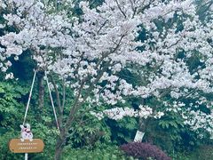 -杭州少年儿童公园