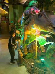 -恐龙探索乐园(磁器口店)