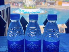 -西双版纳傣族园