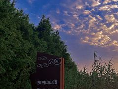 -东白山