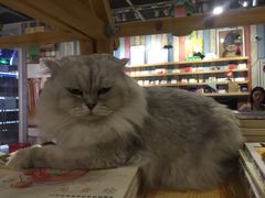 -小时光咖啡馆(开森度假森林店)