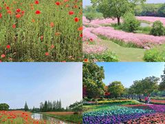 -花开海上生态园