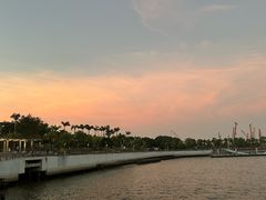 -深圳湾公园(南山区)