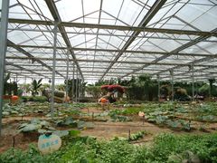 景点-观光南瓜园