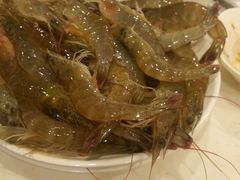 -银鲨海鲜烤肉火锅自助餐厅(五星店)