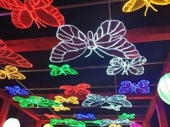 -济南方特东方神画