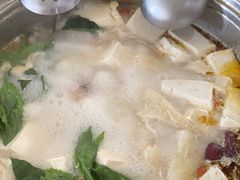 -16年老字号鑫鑫猪肚鸡·椰子鸡海南火锅(兴隆华侨农场店)