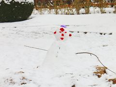 -北京植物园南门售票处