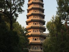 -灵谷景区