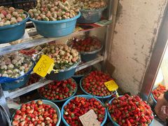 -五里多农博广场