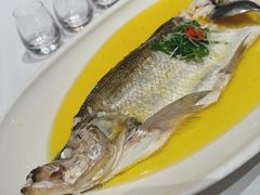 -巴音浩日娲酒楼(双林东路店)