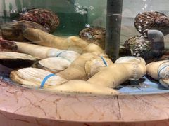 -旺顺阁海鲜广场(亚运村店)