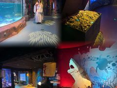 -沈阳海洋探索中心