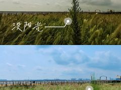 -东疆建设开发纪念公园