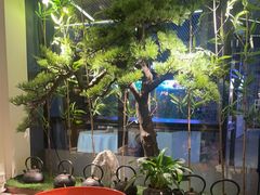 -蓉城小馆(科兴店)