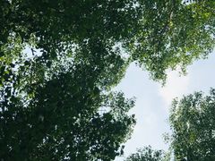 -天津武清北运河郊野公园房车露营地