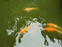 -珠海圆明新园