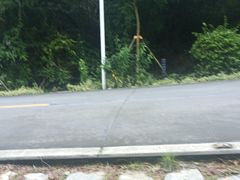 -东澳岛