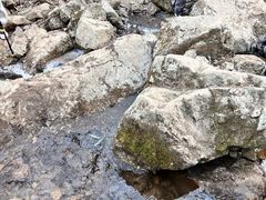 -湖州龙王山景区