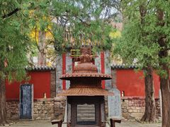 -泰山风景名胜区-普照寺