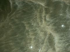 -嵊泗基湖沙滩