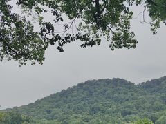 -中国茶叶博物馆(双峰馆区)