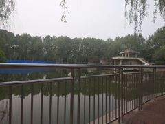 -黄村公园