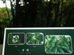 -福道