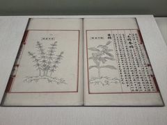 -台北故宫博物院