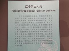 -辽宁古生物博物馆